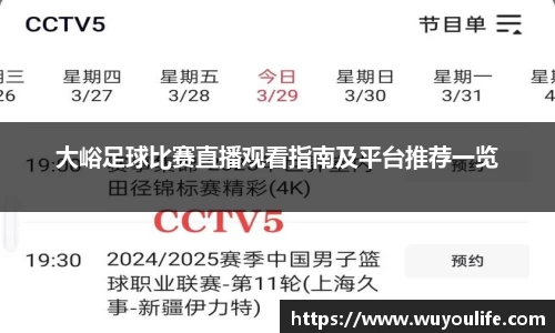 大峪足球比赛直播观看指南及平台推荐一览