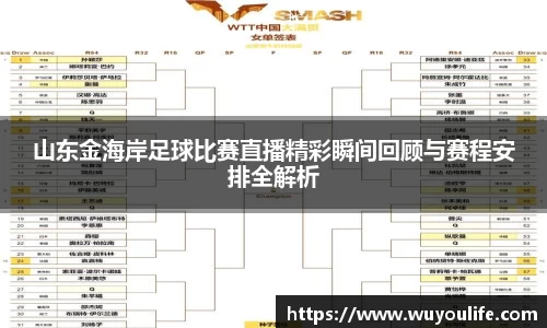 山东金海岸足球比赛直播精彩瞬间回顾与赛程安排全解析