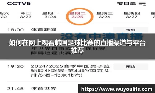 如何在网上观看韩国足球比赛的直播渠道与平台推荐