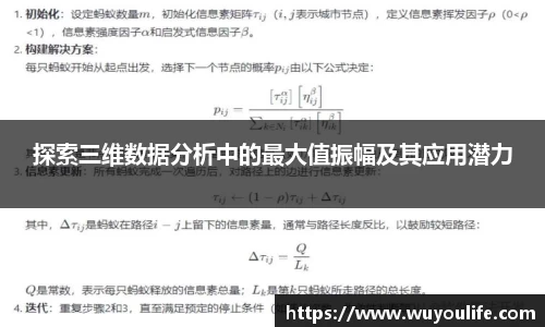 探索三维数据分析中的最大值振幅及其应用潜力