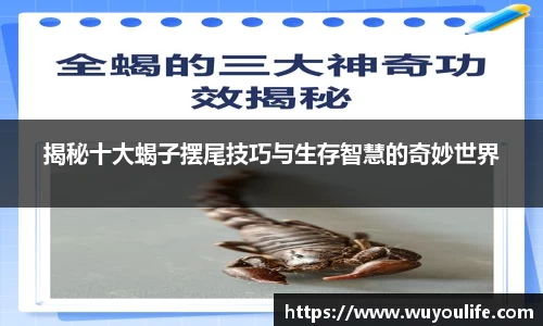 先锋娱乐平台