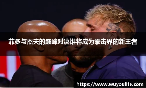 菲多与杰夫的巅峰对决谁将成为拳击界的新王者
