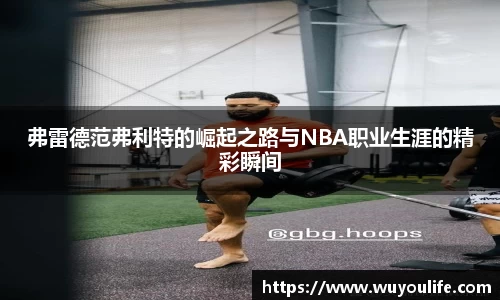 弗雷德范弗利特的崛起之路与NBA职业生涯的精彩瞬间